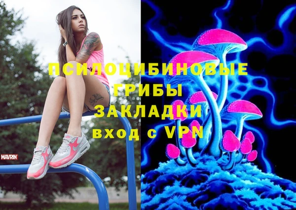 ПСИЛОЦИБИНОВЫЕ ГРИБЫ Баксан