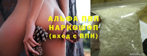 ПСИЛОЦИБИНОВЫЕ ГРИБЫ Баксан