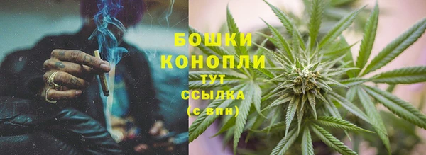 ПСИЛОЦИБИНОВЫЕ ГРИБЫ Баксан